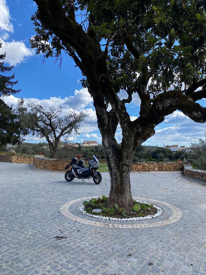 Quinta Da Rocha 1875 Villa Pedrógão Pequeno Eksteriør billede